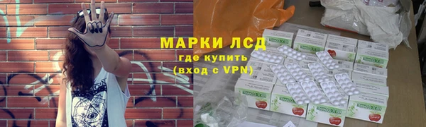 apvp Бородино