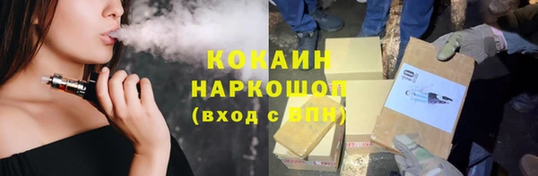 apvp Бородино