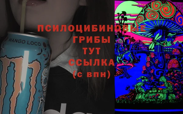 apvp Бородино