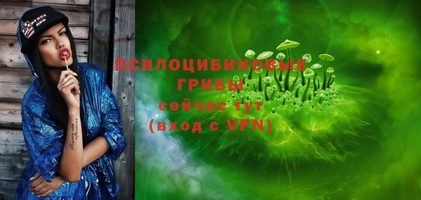 apvp Бородино