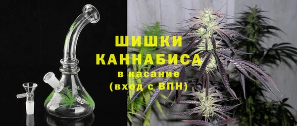 молекула духа Бронницы