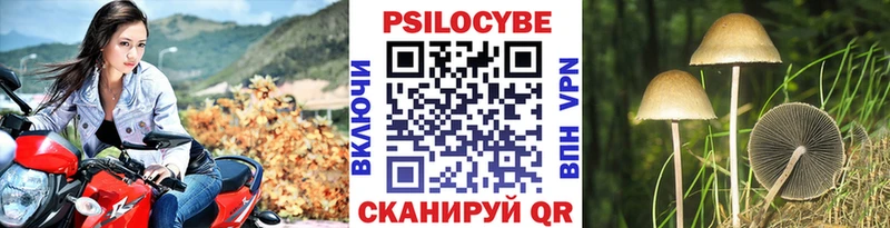 Галлюциногенные грибы мухоморы  Новосокольники 